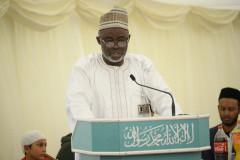 Tan-DSC_5549-800x533