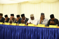 Tan-DSC_5586-800x533