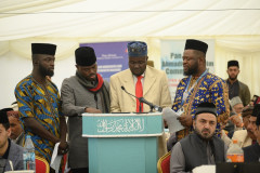 Tan-DSC_5605-800x533